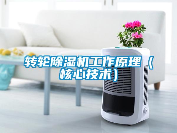 转轮草莓视频黄色在线观看机工作原理（核心技术）