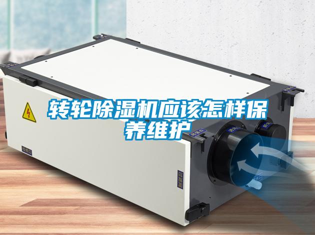 转轮草莓视频黄色在线观看机应该怎样保养维护