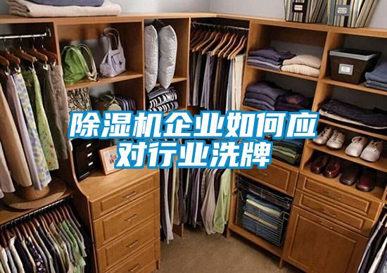 草莓视频黄色在线观看机企业如何应对行业洗牌