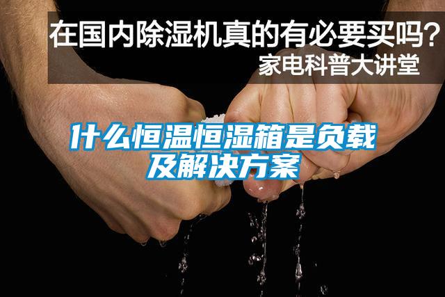 什么恒温恒湿箱是负载及解决草莓视频成人污版APP