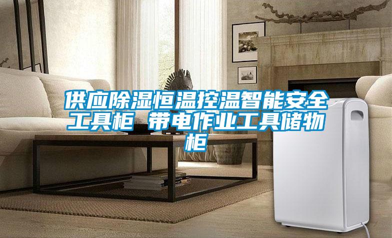 供应草莓视频黄色在线观看恒温控温智能安全工具柜 带电作业工具储物柜