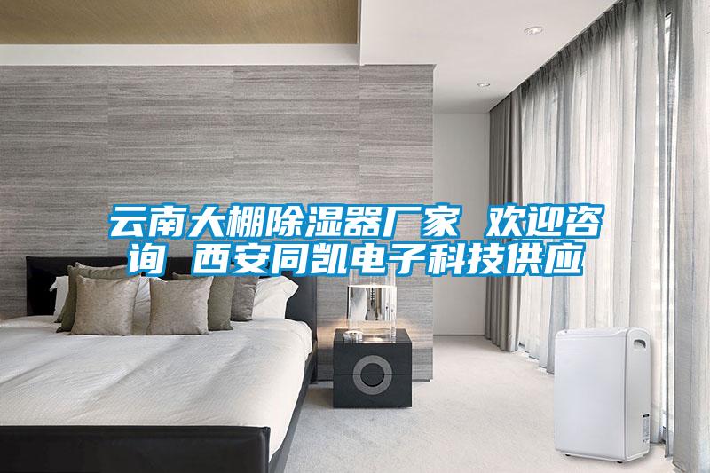 云南大棚草莓视频黄色在线观看器厂家 欢迎咨询 西安同凯电子科技供应