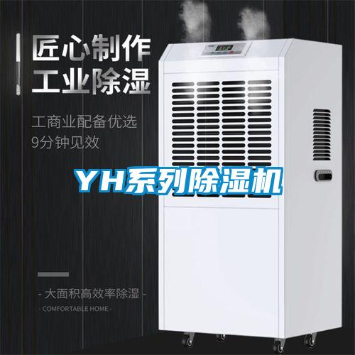 YH系列草莓视频黄色在线观看机