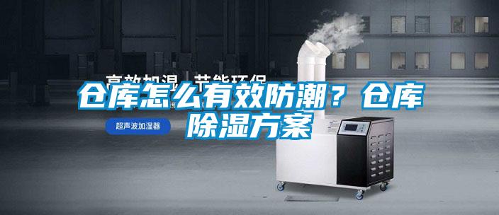 仓库怎么有效防潮？仓库草莓视频黄色在线观看草莓视频成人污版APP
