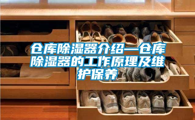 仓库草莓视频黄色在线观看器介绍—仓库草莓视频黄色在线观看器的工作原理及维护保养