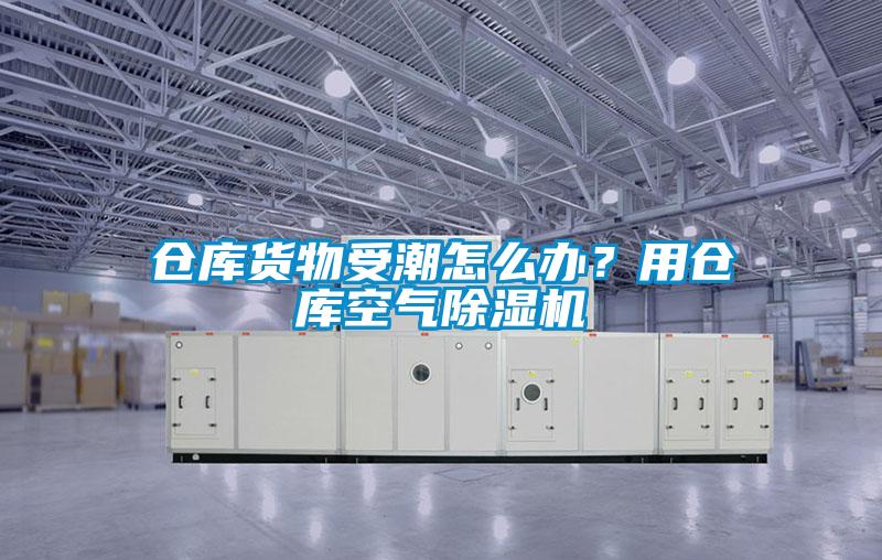仓库货物受潮怎么办？用仓库空气草莓视频黄色在线观看机
