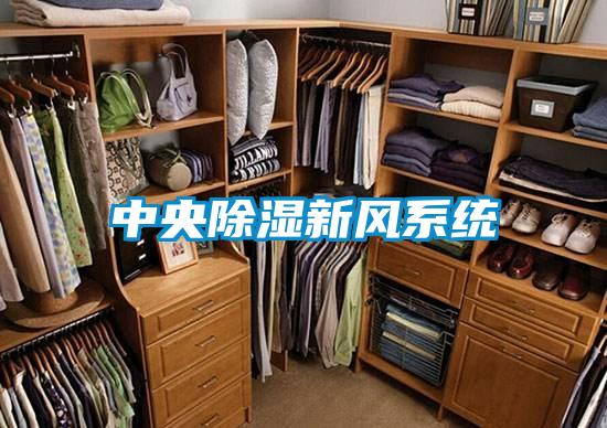 中央草莓视频黄色在线观看新风系统
