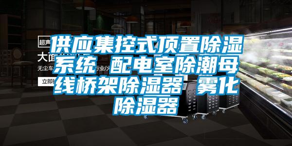 供应集控式顶置草莓视频黄色在线观看系统 配电室除潮母线桥架草莓视频黄色在线观看器 雾化草莓视频黄色在线观看器