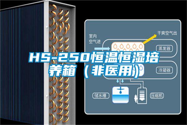 HS-250恒温恒湿培养箱（非医用）