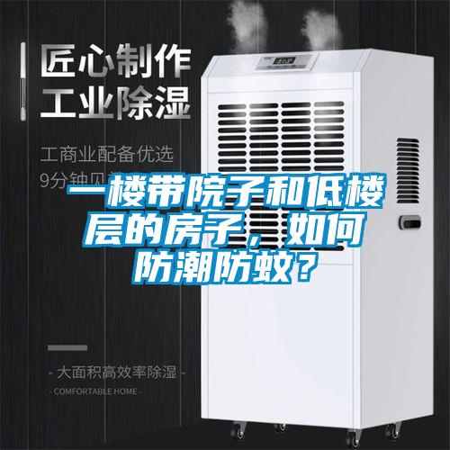 一楼带院子和低楼层的房子，如何防潮防蚊？