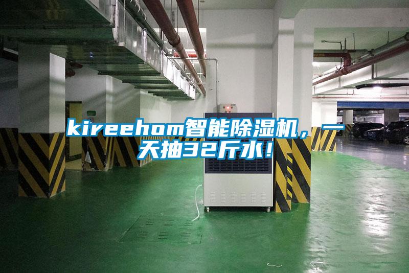 kireehom智能草莓视频黄色在线观看机，一天抽32斤水！