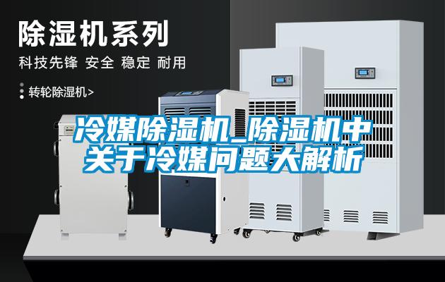 冷媒草莓视频黄色在线观看机_草莓视频黄色在线观看机中关于冷媒问题大解析