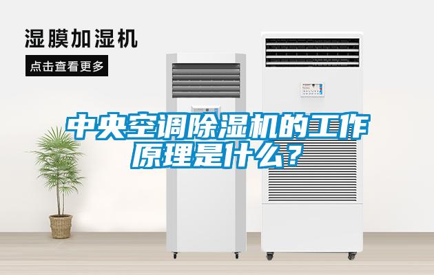 中央空调草莓视频黄色在线观看机的工作原理是什么？