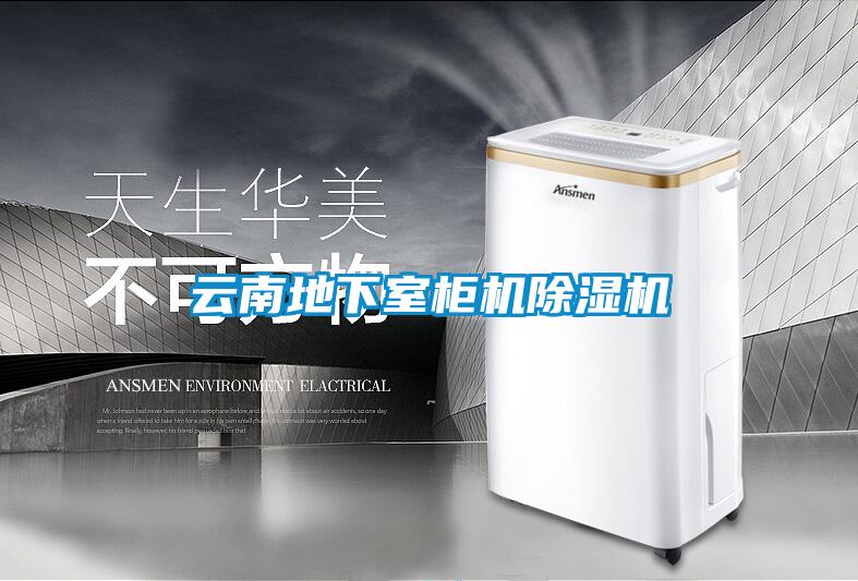 云南地下室柜机草莓视频黄色在线观看机