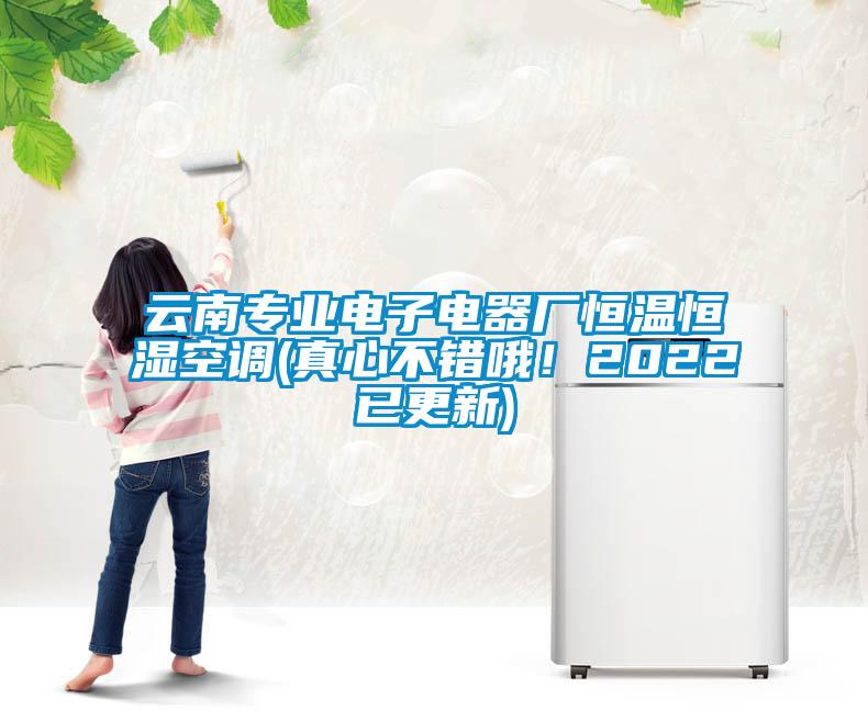 云南专业电子电器厂恒温恒湿空调(真心不错哦！2022已更新)