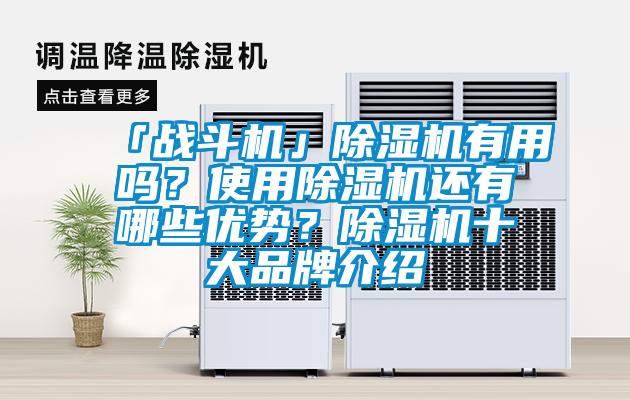「战斗机」草莓视频黄色在线观看机有用吗？使用草莓视频黄色在线观看机还有哪些优势？草莓视频黄色在线观看机十大品牌介绍