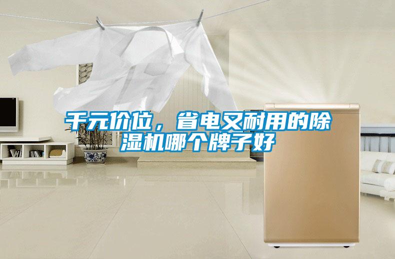 千元价位，省电又耐用的草莓视频黄色在线观看机哪个牌子好