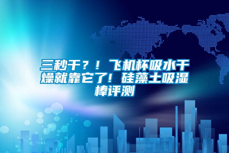 三秒干？! 飞机杯吸水干燥就靠它了! 硅藻土吸湿棒评测