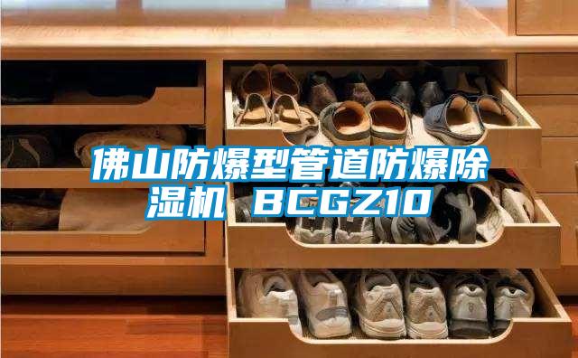 佛山防爆型管道防爆草莓视频黄色在线观看机 BCGZ10