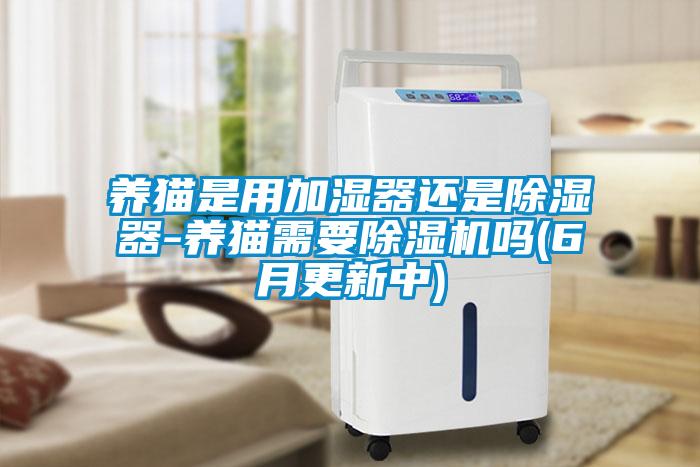 养猫是用加湿器还是草莓视频黄色在线观看器-养猫需要草莓视频黄色在线观看机吗(6月更新中)
