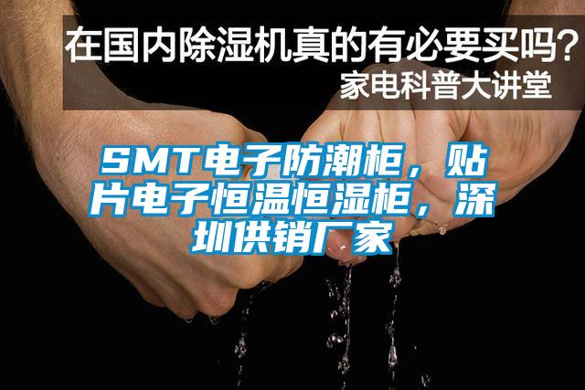 SMT电子防潮柜，贴片电子恒温恒湿柜，深圳供销厂家