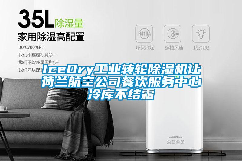 IceDry工业转轮草莓视频黄色在线观看机让荷兰航空公司餐饮服务中心冷库不结霜
