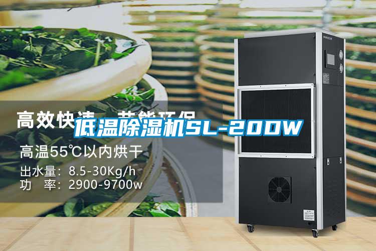 低温草莓视频黄色在线观看机SL-20DW