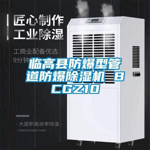 临高县防爆型管道防爆草莓视频黄色在线观看机 BCGZ10