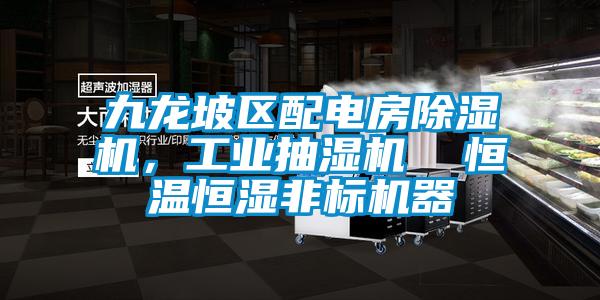 九龙坡区配电房草莓视频黄色在线观看机，工业抽湿机  恒温恒湿非标机器
