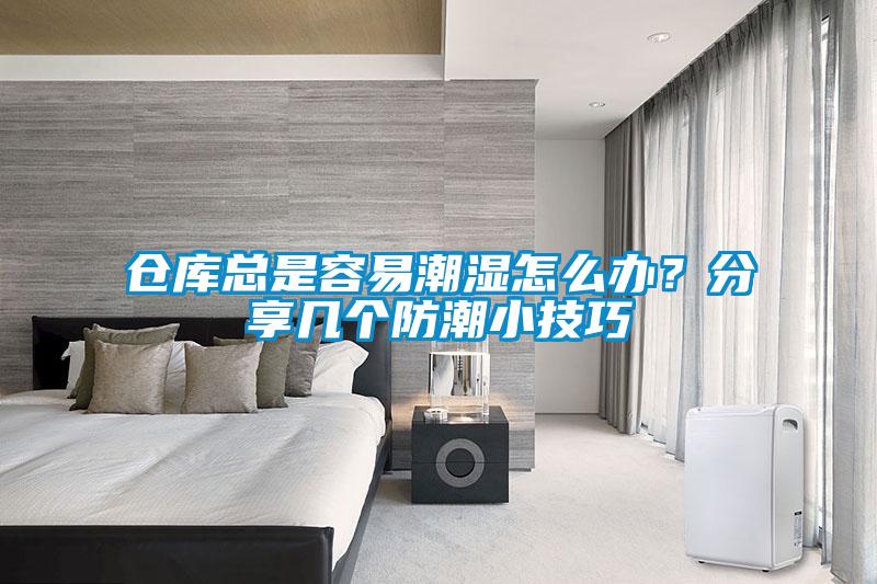 仓库总是容易潮湿怎么办？分享几个防潮小技巧