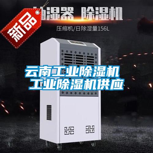 云南工业草莓视频黄色在线观看机 工业草莓视频黄色在线观看机供应