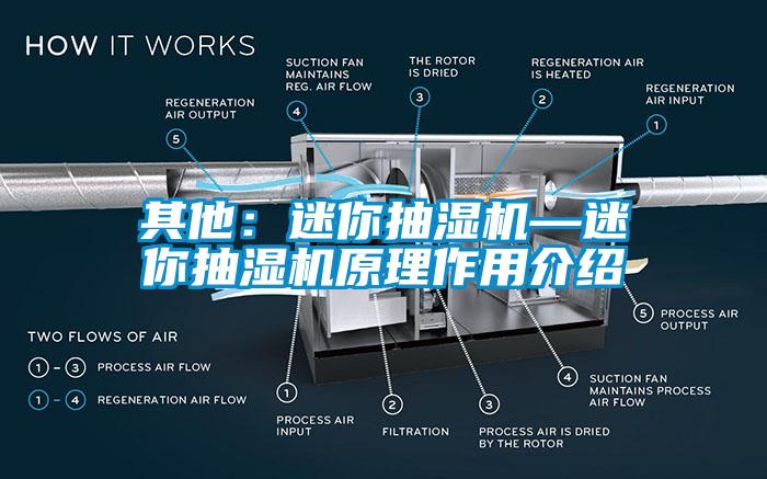 其他：迷你抽湿机—迷你抽湿机原理作用介绍