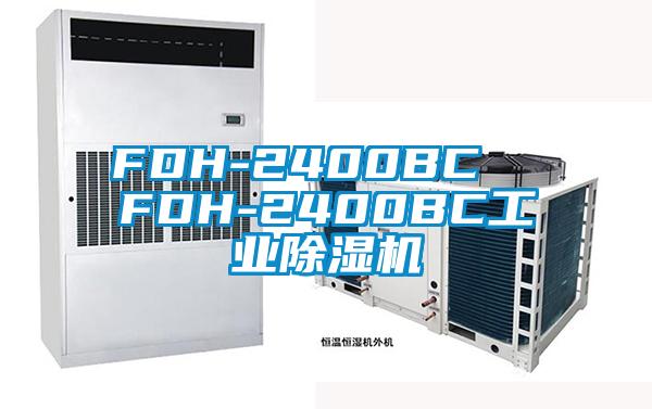FDH-2400BC  FDH-2400BC工业草莓视频黄色在线观看机