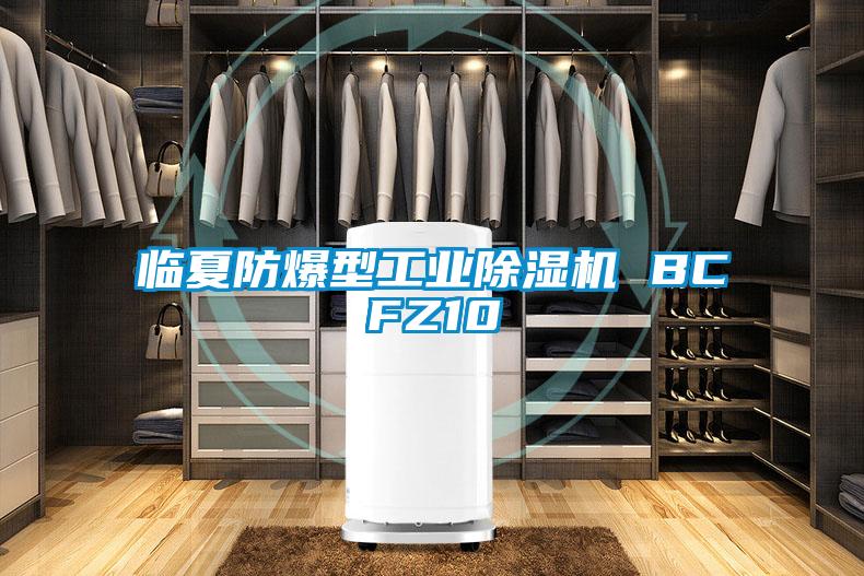 临夏防爆型工业草莓视频黄色在线观看机 BCFZ10