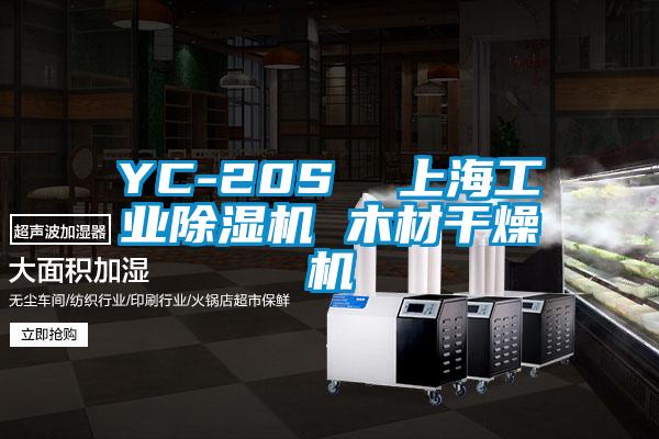 YC-20S  上海工业草莓视频黄色在线观看机 木材干燥机