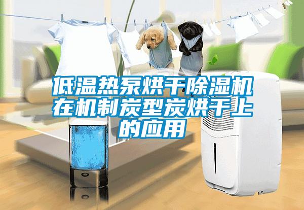 低温热泵烘干草莓视频黄色在线观看机在机制炭型炭烘干上的应用