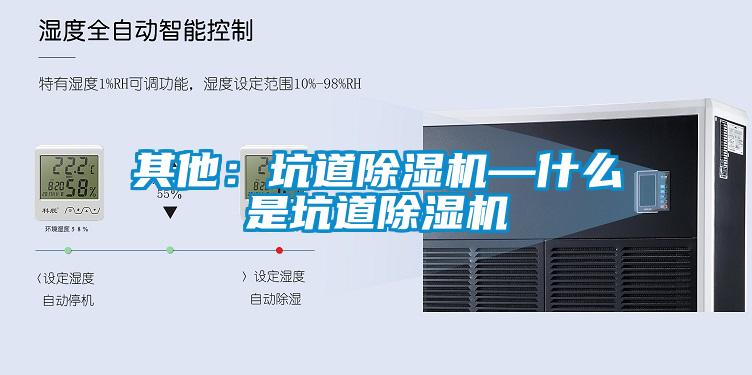 其他：坑道草莓视频黄色在线观看机—什么是坑道草莓视频黄色在线观看机