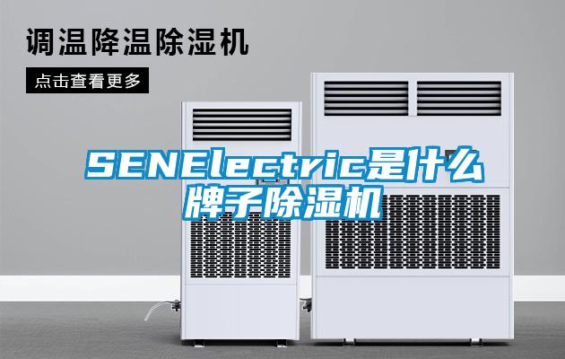 SENElectric是什么牌子草莓视频黄色在线观看机
