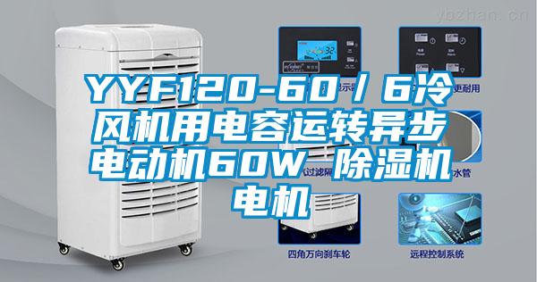 YYF120-60／6冷风机用电容运转异步电动机60W 草莓视频黄色在线观看机电机