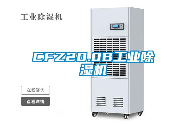 CFZ20.0B工业草莓视频黄色在线观看机