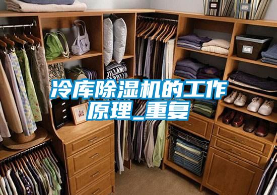 冷库草莓视频黄色在线观看机的工作原理_重复