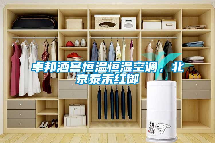 卓邦酒窖恒温恒湿空调，北京泰禾红御