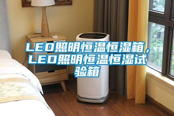LED照明恒温恒湿箱，LED照明恒温恒湿试验箱