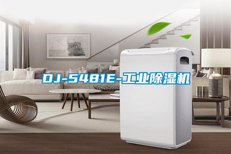 DJ-5481E-工业草莓视频黄色在线观看机