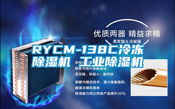 RYCM-138C冷冻草莓视频黄色在线观看机 工业草莓视频黄色在线观看机