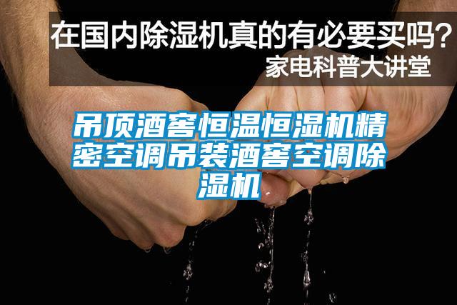 吊顶酒窖恒温恒湿机精密空调吊装酒窖空调草莓视频黄色在线观看机