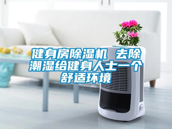 健身房草莓视频黄色在线观看机 去除潮湿给健身人士一个舒适环境