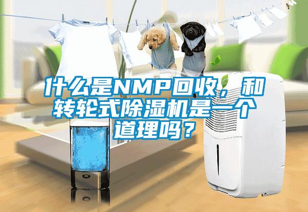 什么是NMP回收，和转轮式草莓视频黄色在线观看机是一个道理吗？