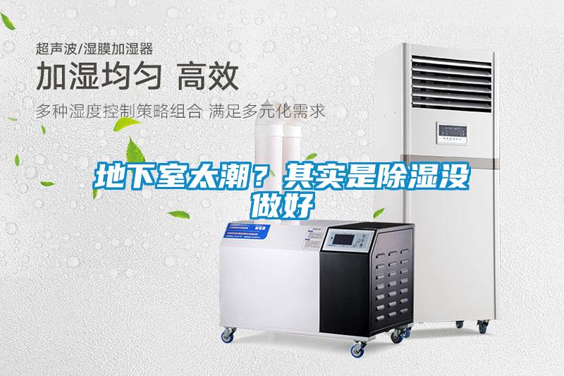 地下室太潮？其实是草莓视频黄色在线观看没做好