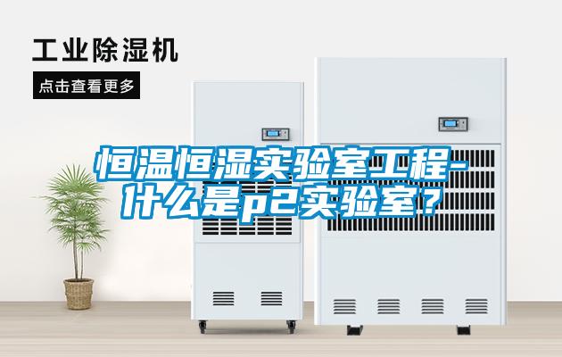 恒温恒湿实验室工程-什么是p2实验室？